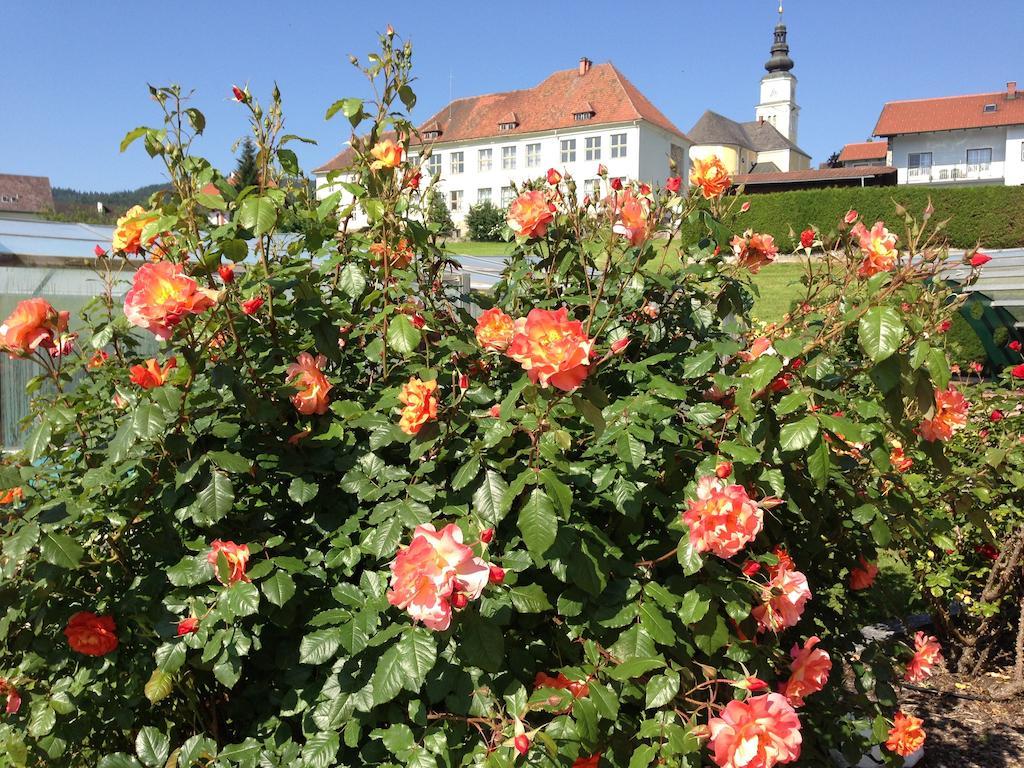 Haus Rose Apartment Wenigzell Exterior photo